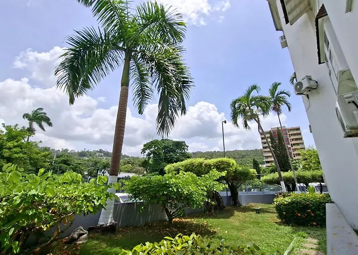 Apartamento 11 *